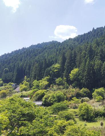 大和棟古民家JINYA(大和棟古民家陣屋)