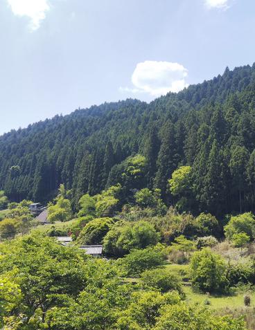 大和棟古民家JINYA（大和棟古民家陣屋）