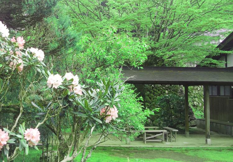 大和棟古民家JINYA（大和棟古民家陣屋）。挙式会場。季節の花や鮮やかな緑に囲まれた新緑の季節の庭園