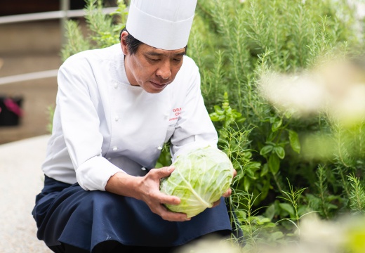 The 華紋(ザ カモン)。料理。素材選びから盛り付けまでこだわりを貫く、料理長の山下シェフ