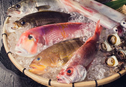 Queen’s Marry（クイーンズマリー）。料理。日本海で獲れた旬の魚のなかから、選りすぐりの食材を使用