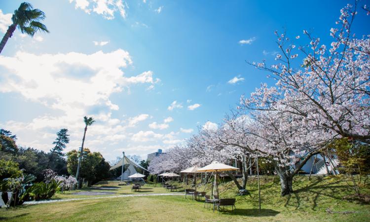 リゾートホテル モアナコースト。アクセス・ロケーション。ホテル敷地内には四季折々の花と緑に彩られたガーデンが広がります