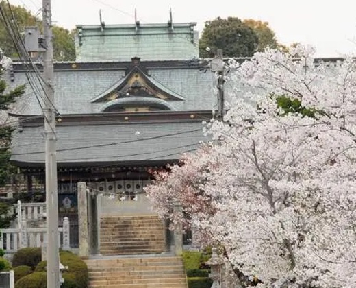 石清水八幡宮 神明殿。アクセス・ロケーション。郊外にあり、静かで落ち着いたロケーションも魅力です