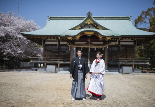 石清水八幡宮 神明殿。挙式会場。庵治町にある『桜八幡神社』も選択することが出来ます