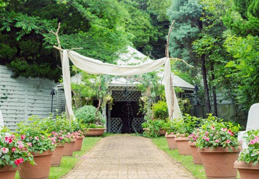 ぶどうの樹（森のウェディング）