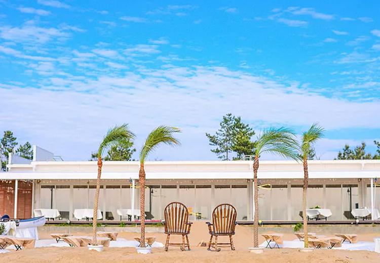 ぶどうの樹（海のウェディング）