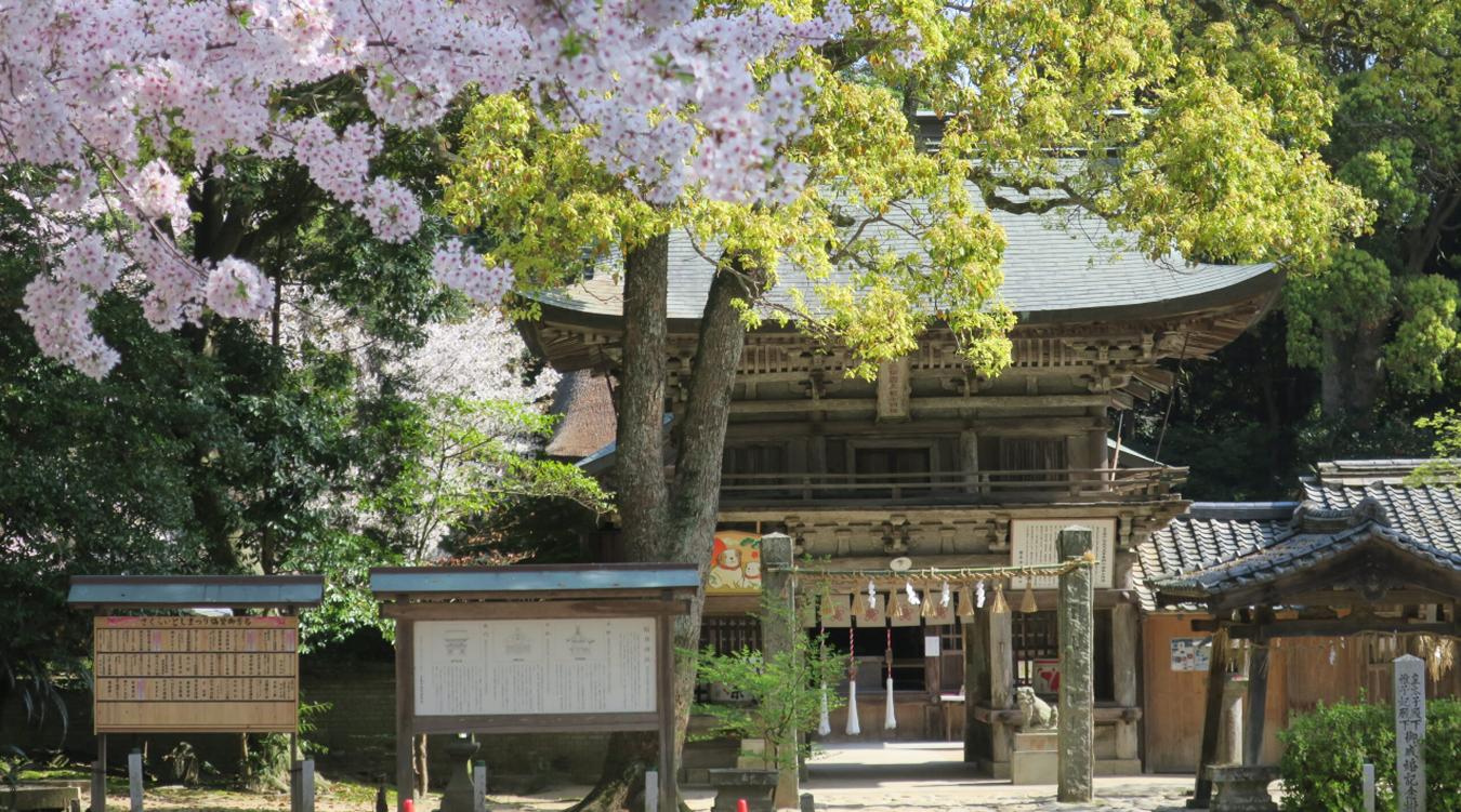 櫻井神社。美しい自然に包まれた『櫻井神社』で執り行う神前式。「桜井二見ヶ浦の夫婦岩」は夫婦和合の象徴として信仰を集めています