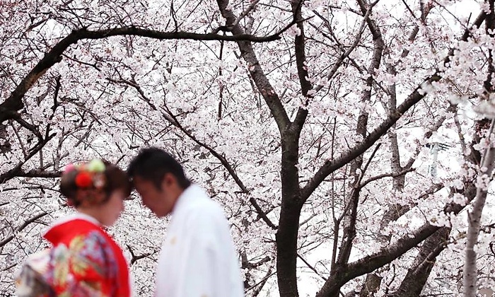 ガーデンホール矢部川城。演出・小物。桜の名所として知られるスポットなど、ロケーション撮影も叶います
