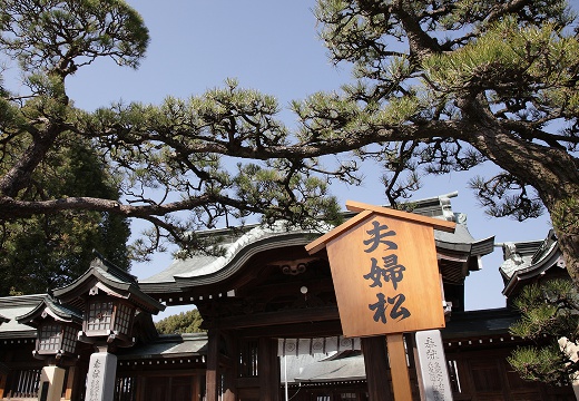 L‘celmo 八代(エルセルモ八代)。挙式会場。夫婦和合の利益で有名な『夫婦松』がある『八代宮』