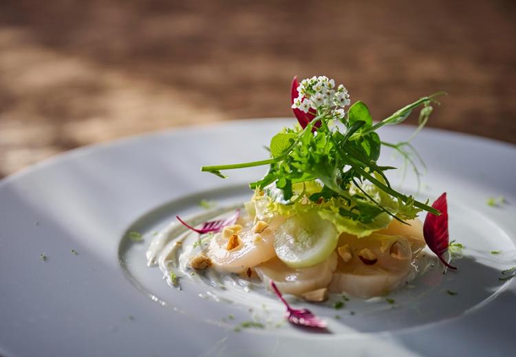 Maison de Forest（メゾン・ド・フォレスト）。料理。お皿選びから盛り付けまで一つひとつにシェフの想いとこだわりが