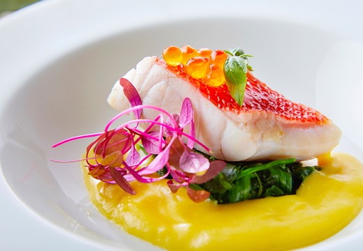 ホテル京セラ。料理。新鮮な魚介を使った料理は、幅広い世代に喜ばれる一品です