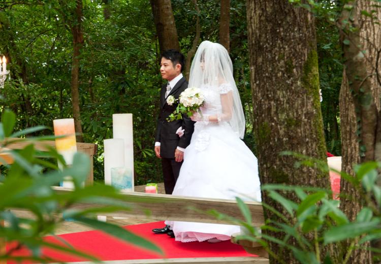 屋久島 雫ノ杜。神聖な森の中でふたりだけのプライベートなひとときを過ごせます