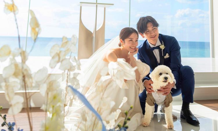 ラソール シー リゾート。演出・小物。会場内が一気に和やかな雰囲気に包まれる、リングドッグの演出
