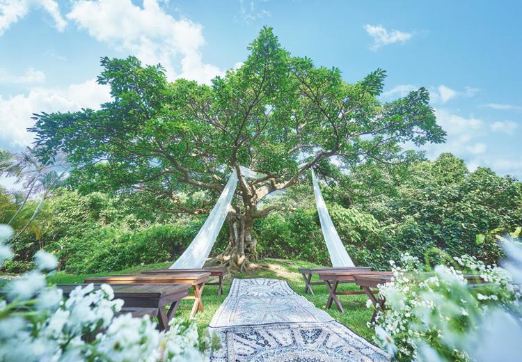 ザ・ビーチテラス ホテルアオ石垣。挙式会場。心地よい潮風と木漏れ日に包まれるセレモニースペース